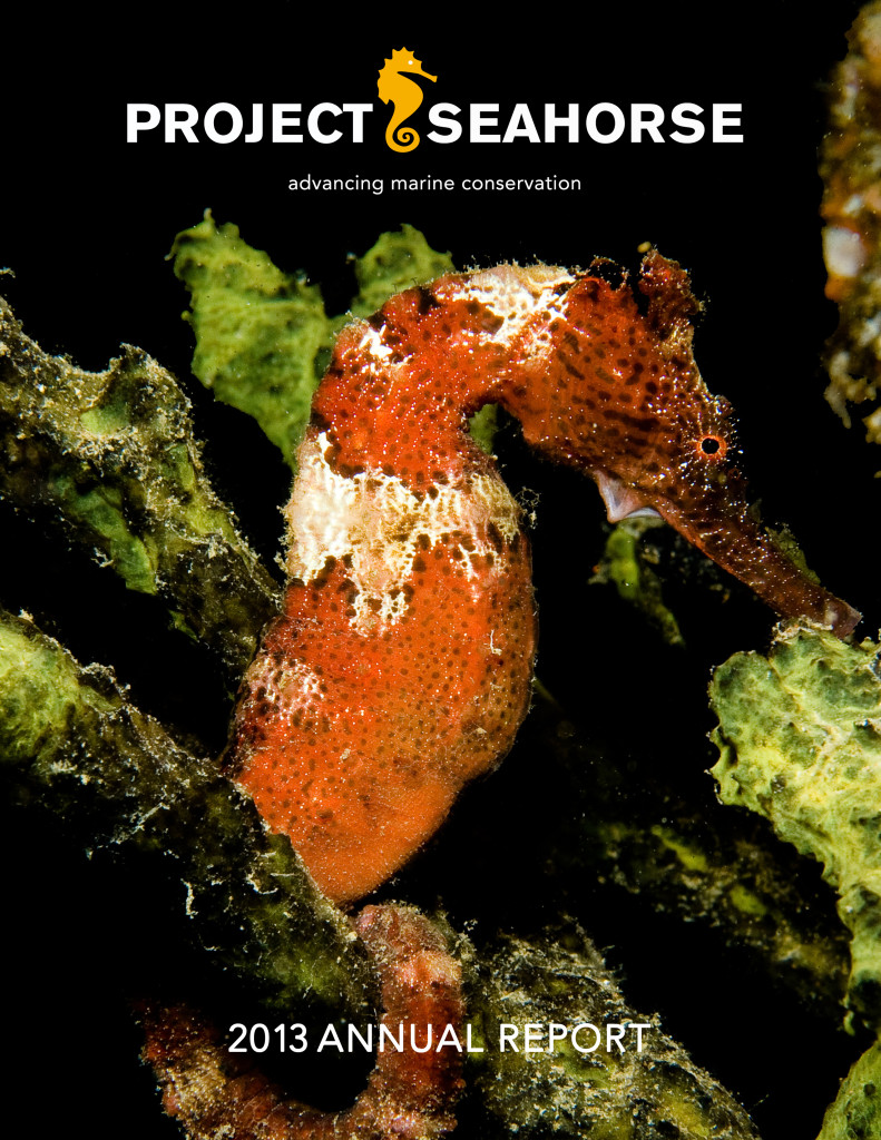 Seahourse Annual Report 2013